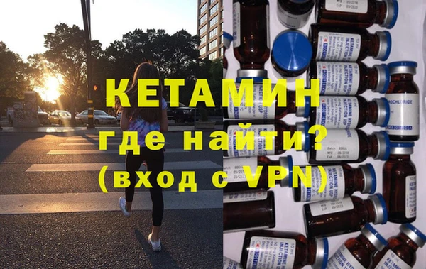 прущие грибы Михайлов