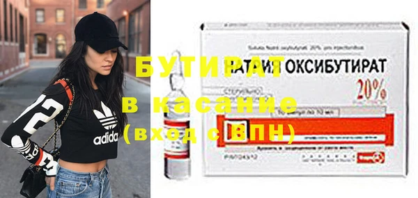 прущие грибы Михайлов